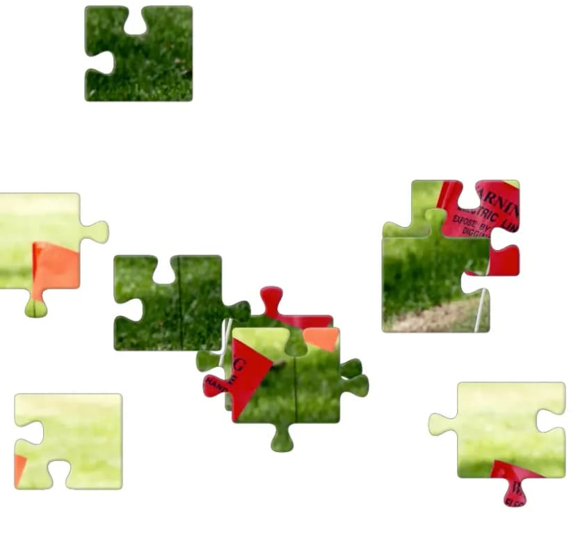 Electric Marking Flag Puzzle